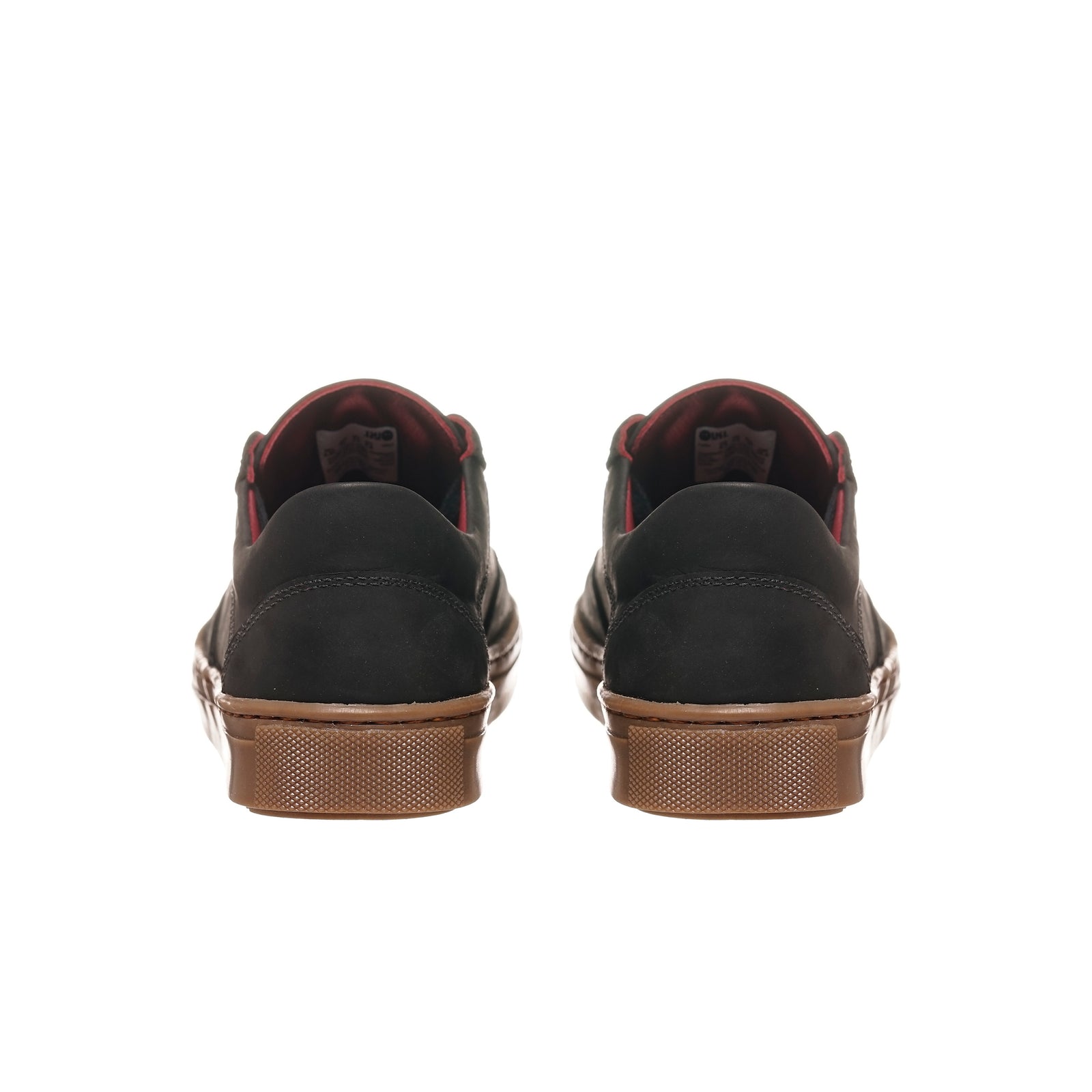 Zapatilla la Campana Negra Planta Cristal