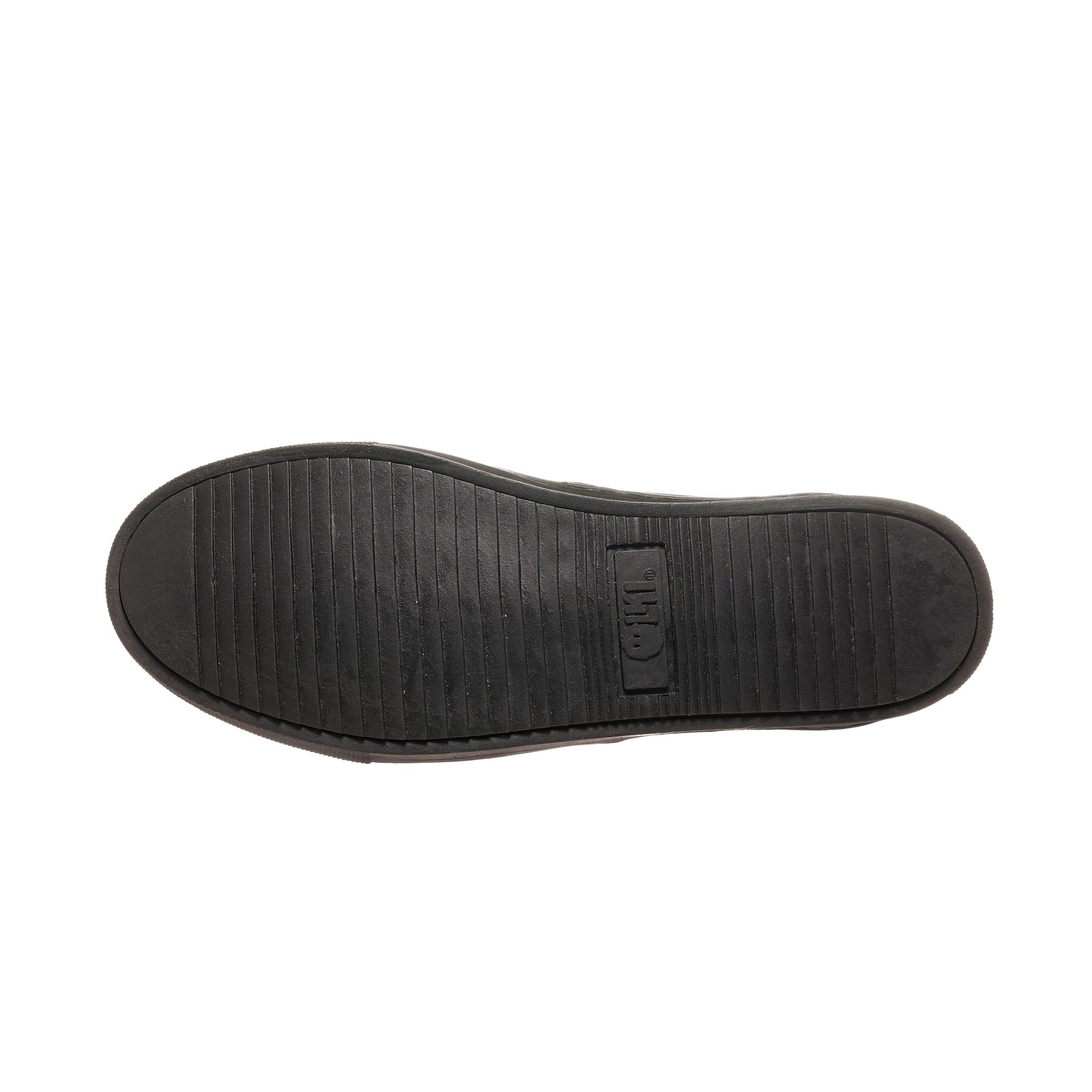 Zapatilla la Campana Negra Planta Negra