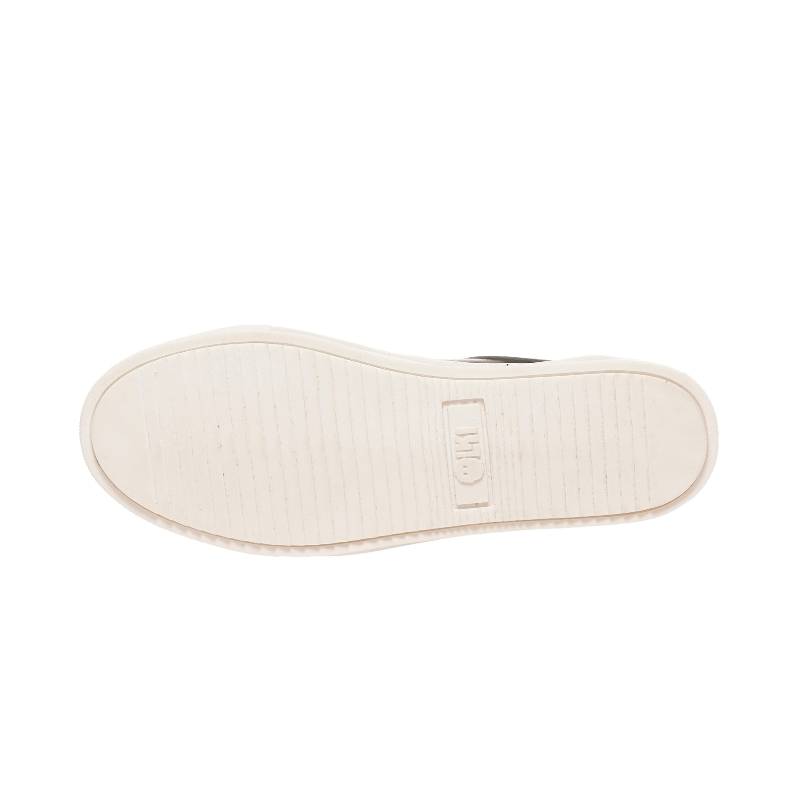 Zapatilla la Campana Negra Planta Blanca