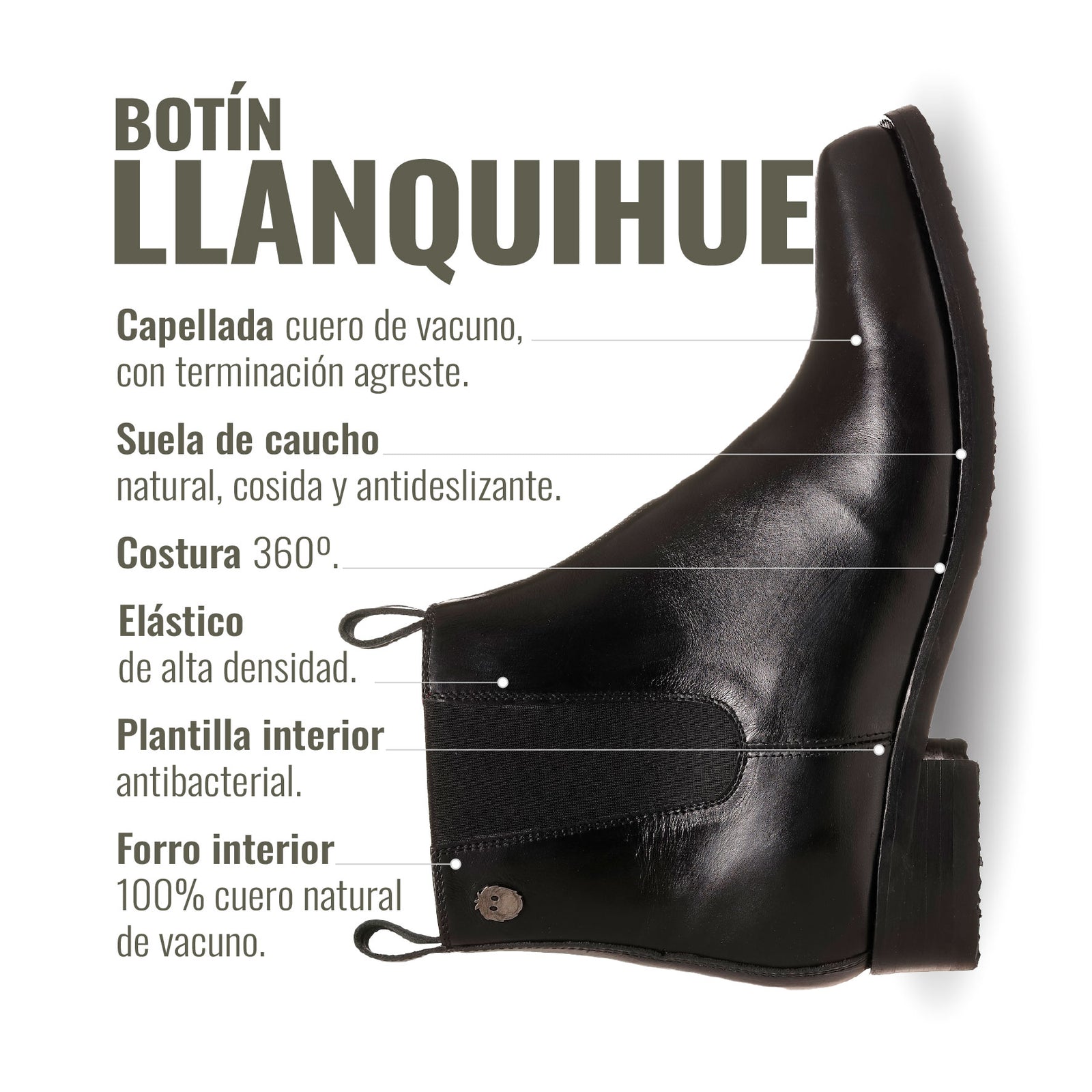 BOTIN LLANQUIHUE NEGRO PLANTA NEGRA