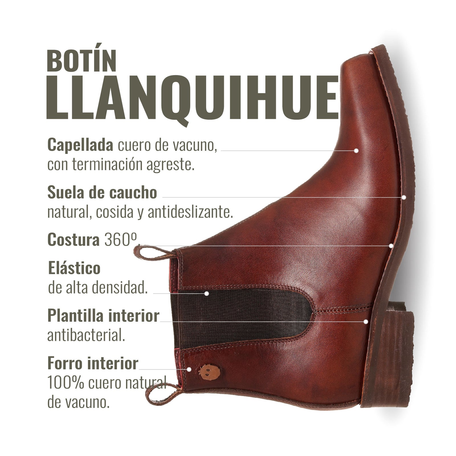 BOTIN LLANQUIHUE CASTAÑO PLANTA CAFE MORO