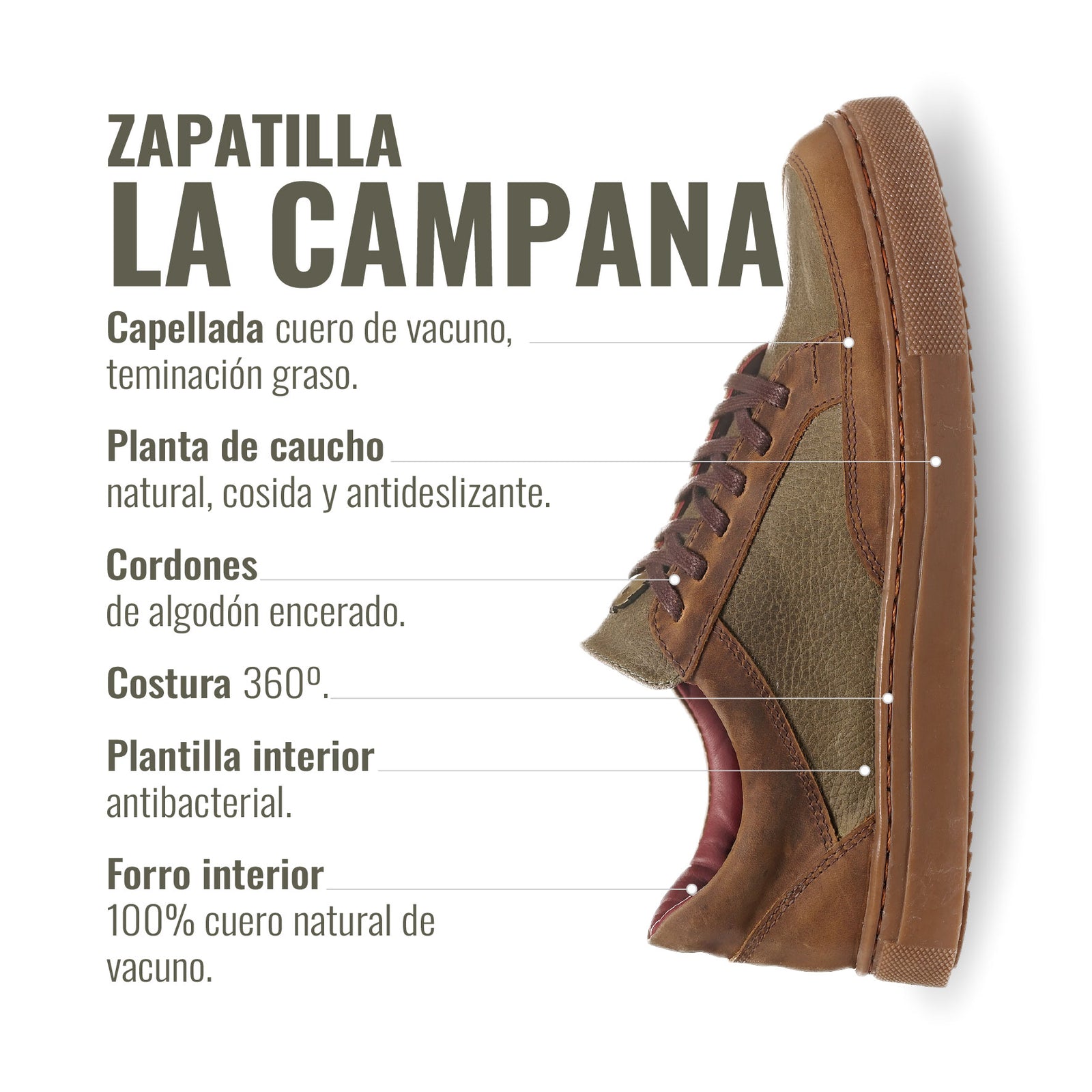 Zapatilla la Campana Verde Planta Cristal