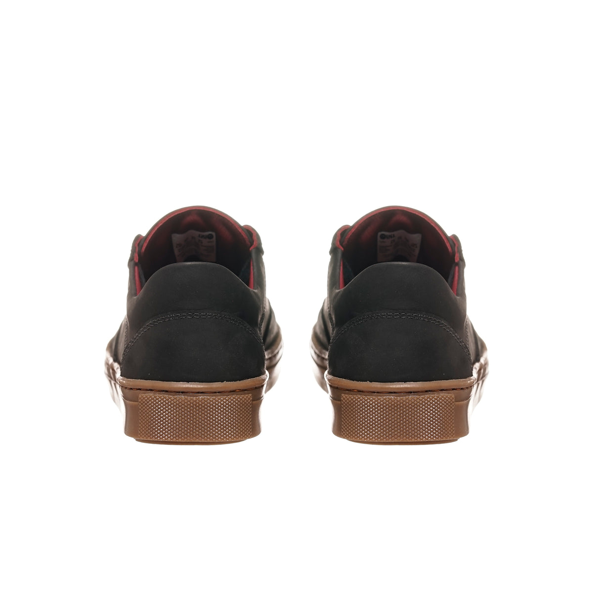 Zapatilla la Campana Negra Planta Cristal