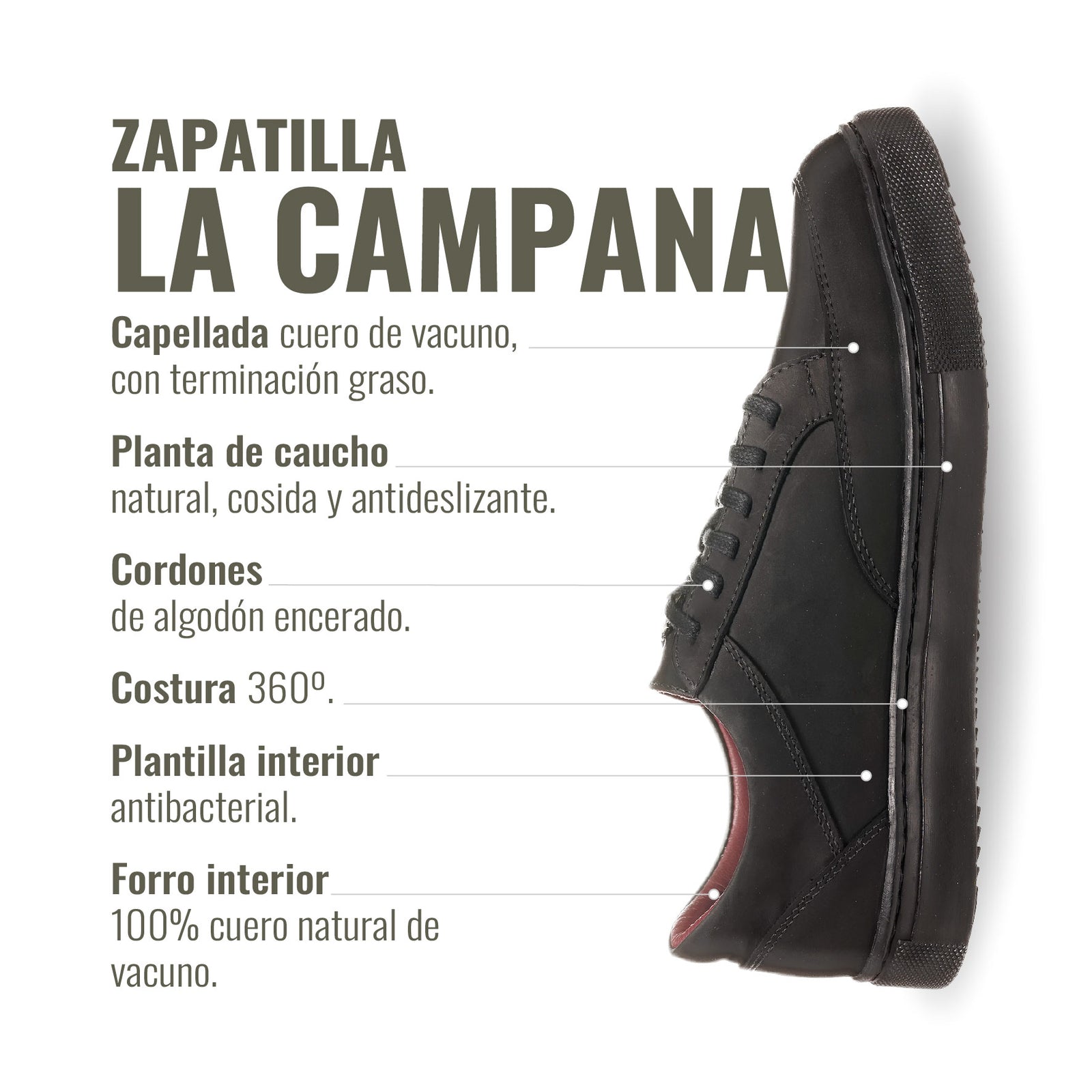 Zapatilla la Campana Negra Planta Negra