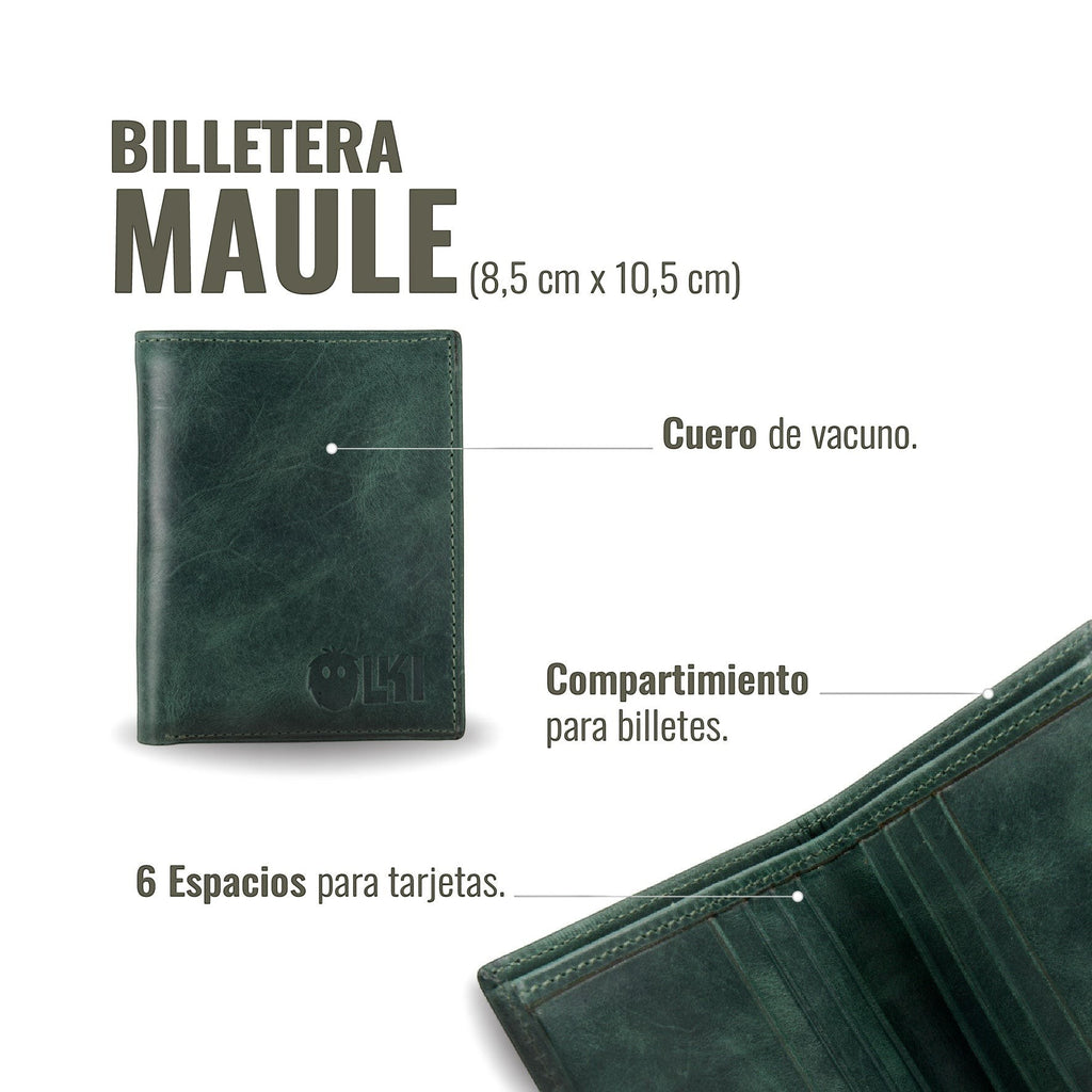 Billetera vertical OLKI Maule verde de cuero de vacuno con 6 espacios para tarjetas y separador de billetes.