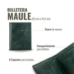 Billetera vertical OLKI Maule verde de cuero de vacuno con 6 espacios para tarjetas y separador de billetes.
