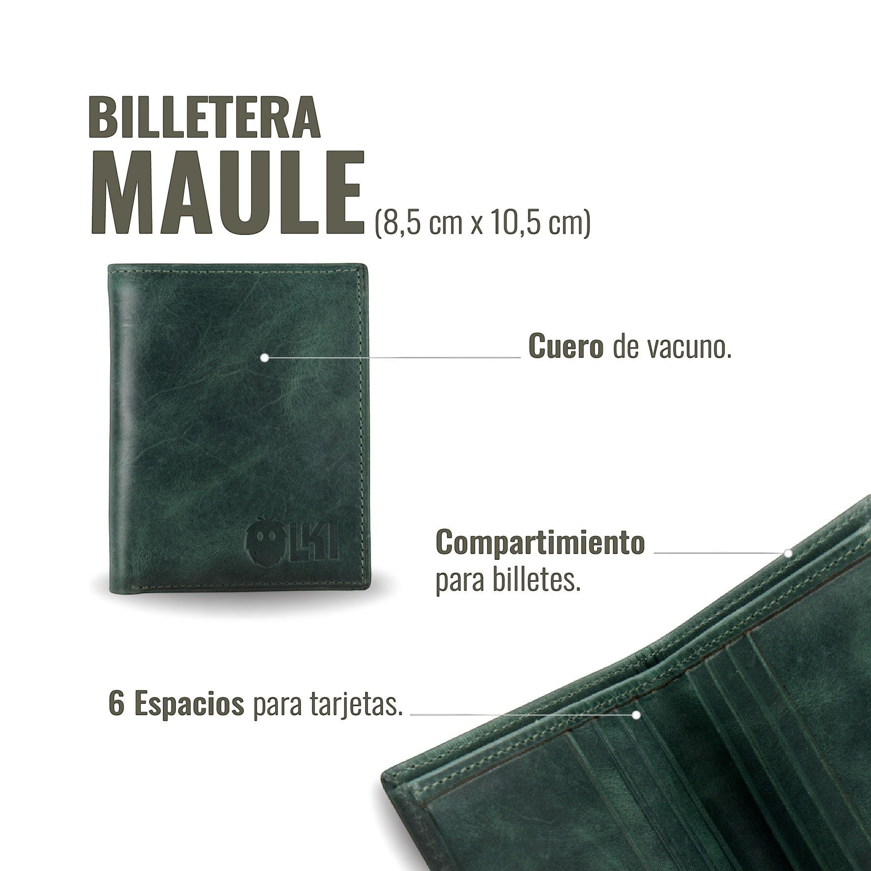Billetera vertical OLKI Maule verde de cuero de vacuno con 6 espacios para tarjetas y separador de billetes.
